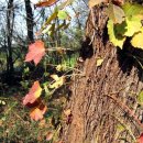 지혜의샘 이미지