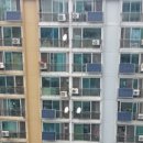 성산기업 태양광발전소 이미지