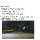 원광여자중학교 교통섬 이미지