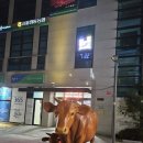 영주축산업협동조합 하나로마트 이미지