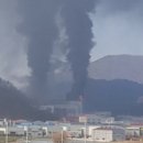 부경축산물도매시장 이미지