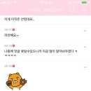 꾸르꾸르 이미지