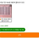 끼쟁이네일 | 🍯TEMU 꿀템들 🍯