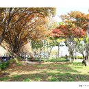 풍경이 머무는 곳 이미지