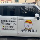 우다다 펫택시 이미지