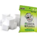 스펀지