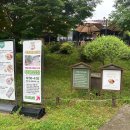 장흥숲길캠핑장 | 서울근교 대형카페 양주대형카페 장흥카페 양주 숲길정원 족욕카페 후기