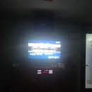 돌고래 노래연습장 이미지