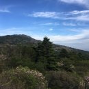 세석조경 이미지