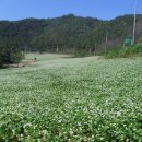금갑해변 이미지