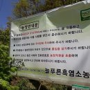 최순호농장 Daum카페