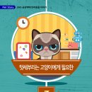 디아나동물병원 네이버블로그