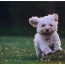 블로그 & 인스타그램 이미지