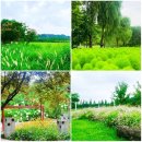 평화체육공원 | 걷기일상 - 월드컵공원 1부 평화의공원