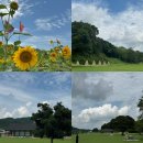 황금호떡분식 | 곳, 서산 축제, 서산 해미읍성 맛집 “ 해미 황금호떡 “ “해미읍성왕꽈배기 해미본점” 후기 및 추천
