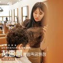 남자 머리 펌 시스루 쉐도우펌, 헤어스타일 종류는 잠실미용실 차홍룸 올림픽공원점 백수정실장님 추천