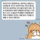 도담동_도담중학교 | 영어 성적을 좌우하는 핵심, 문법과 정독! 세종시 학부모님께 도담동 와이즈리더가 드리는 솔루션