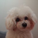 김고은그루밍# 이미지