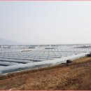 토토농장 이미지