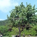 (주)천연고을
