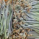 오례농장 이미지