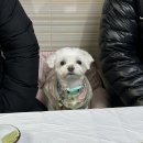 명지횟집 이미지