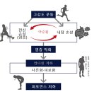 (주)뉴메이크