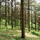삼봉산 쿠키뉴스