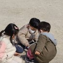 콩새야 놀자