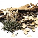 바른뿌리한의원 이미지