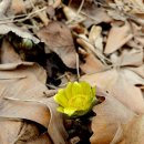 행복한 글쓰기 이미지