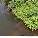 서검낚시터 이미지