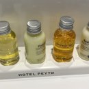 Hotel Peyto(호텔 페이토) 이미지