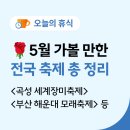 🌹 5월 전국 봄 축제 | 어르신·부모님과 가볼 만한 장소