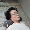 집앤콕 메밀 경추베개 이제 이것만 베요