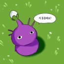로그-비