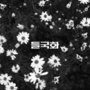 강원도노래클럽 이미지