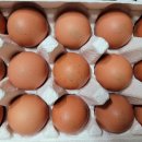 우리팜 농장 이미지