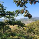 밤재농장 이미지