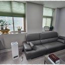 세무법인더온