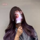 Purple hair(퍼플헤어)