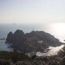 화님마트 이미지