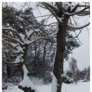 남해우리집 이미지