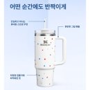로즈라벨 | 켄처 H2.0 플로우스테이트 텀블러 887ml 피치로즈 솔직 후기 (보냉력, 내구성, 건강까지 챙기는 텀블러...