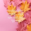 의왕동물병원 이미지