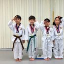 강산태권도 이미지