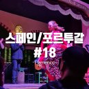 스페인 플라멩코 춤(야간반) | (신혼 여행) 스페인/포르투갈 열여덟번째 이야기 (18...플라멩코(Flamenco, 플라멩고) 공연 관람 후기-!