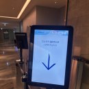 대한제2체육관 | 인천공항 제2터미널 대한항공 프레스티지라운지 후기(26년 8월기준)