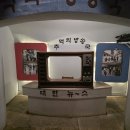 (주)모두카 | 제주도 카니발 투어 기사포함 렌트카로 다녀온 제주여행 후기