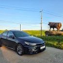 광명목장 이미지